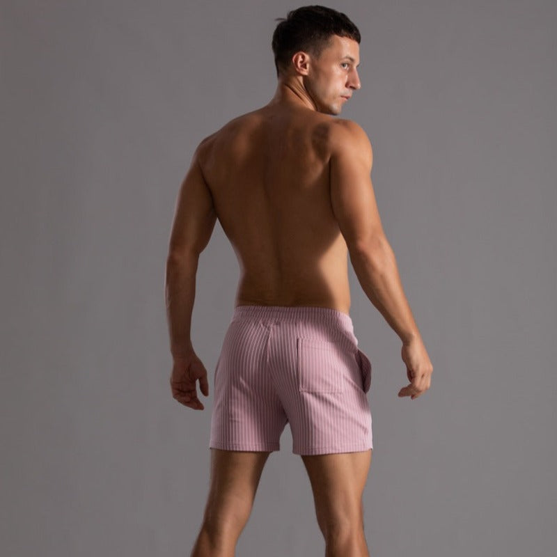 Men's Striped Drawstring Sheer Panel Quick Dry Swim Shorts