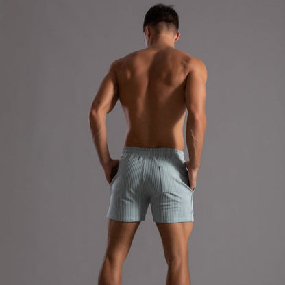 Men's Striped Drawstring Sheer Panel Quick Dry Swim Shorts