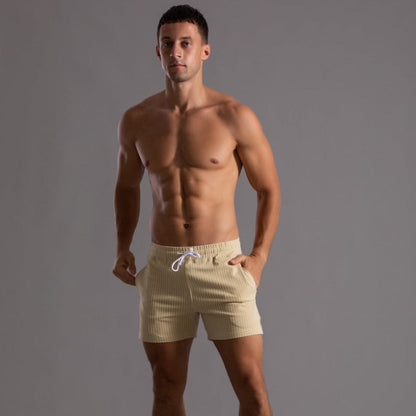 Men's Striped Drawstring Sheer Panel Quick Dry Swim Shorts