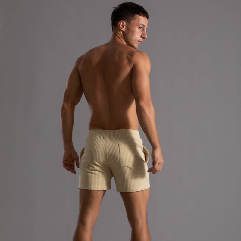 Men's Striped Drawstring Sheer Panel Quick Dry Swim Shorts