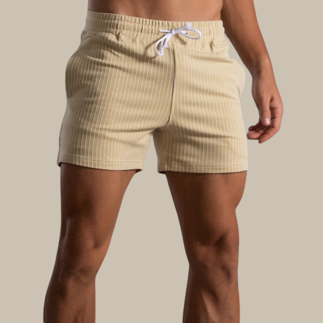 Men's Striped Drawstring Sheer Panel Quick Dry Swim Shorts